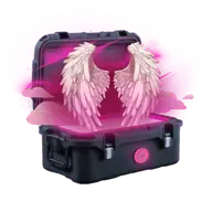 Ascend case thumbnail