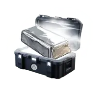 Bricks case thumbnail