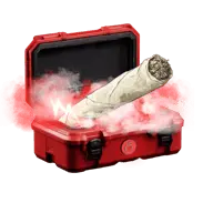 Chiefin' case thumbnail