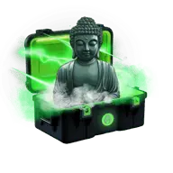 Enlightenment case thumbnail