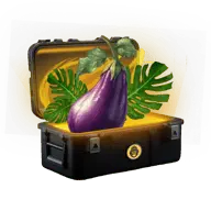 Full Package case thumbnail