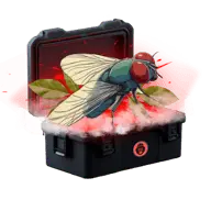 Icarus case thumbnail