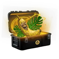 Idiot Luck case thumbnail