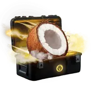 Life's A Beach case thumbnail