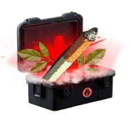 Sandlot case thumbnail