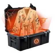 Super Chill case thumbnail