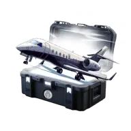 Wing It case thumbnail